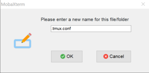 3.2 mobaxterm umbenennen.png